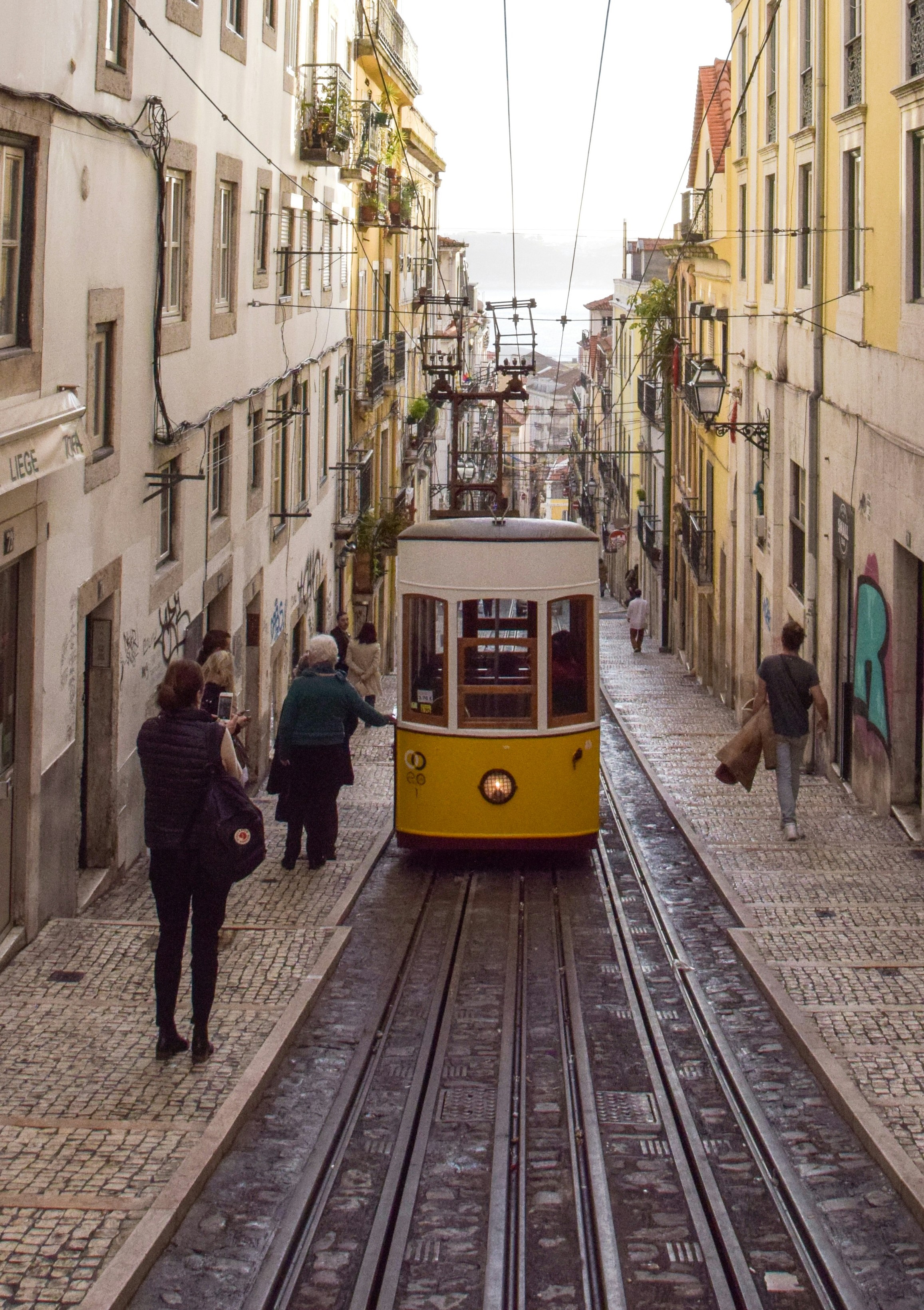 Bonde Lisboa