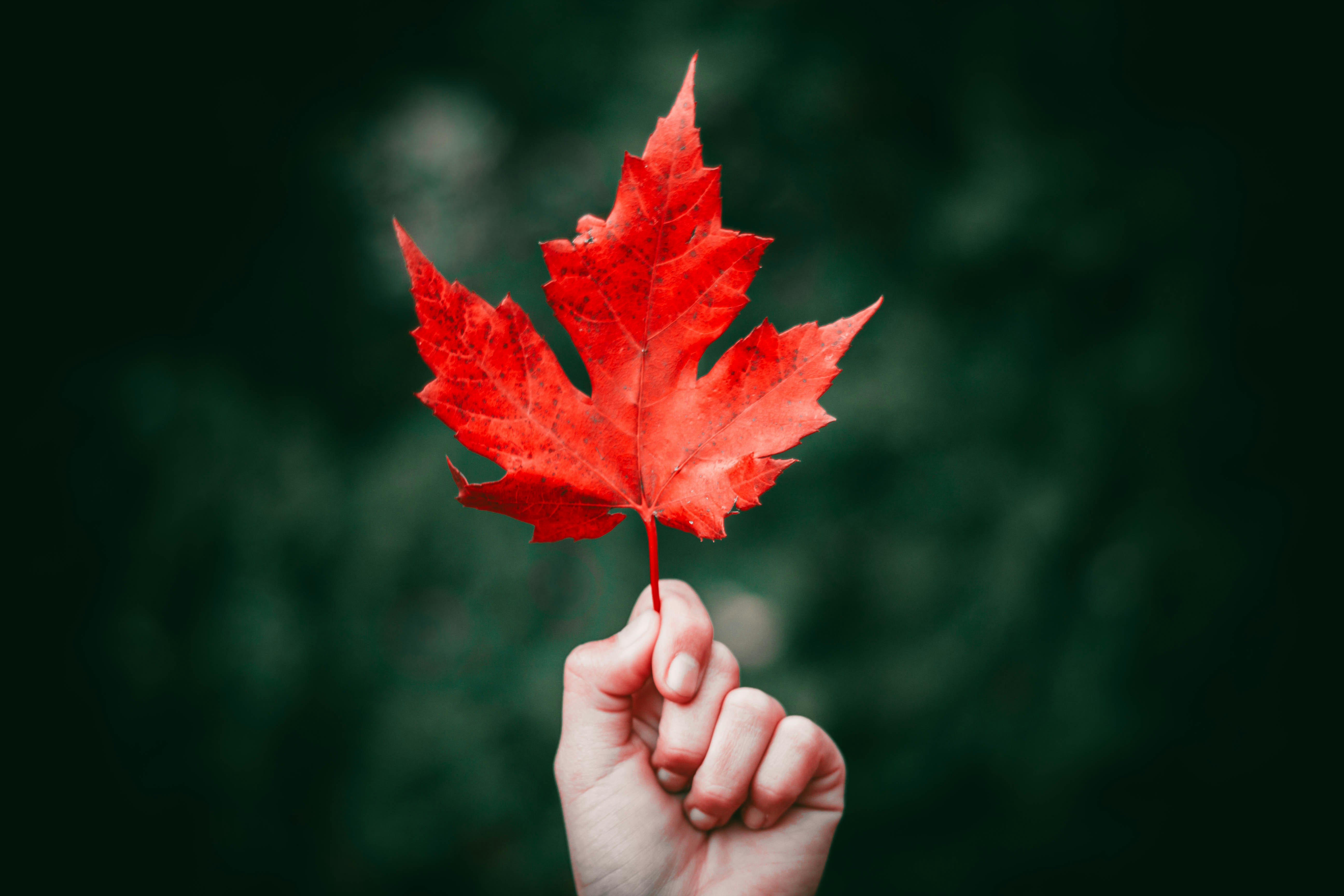 Canada19